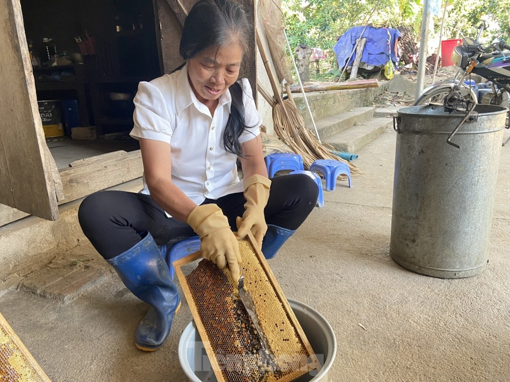 Chương trình OCOP “đánh thức” nhiều tiềm năng nông nghiệp của tỉnh Lai Châu, đồng thời khuyến khích các nhóm lao động yếu thế (người DTTS, phụ nữ) chủ động phát triển kinh tế hàng hóa.